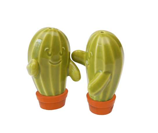 Hugging Cactus Shakers