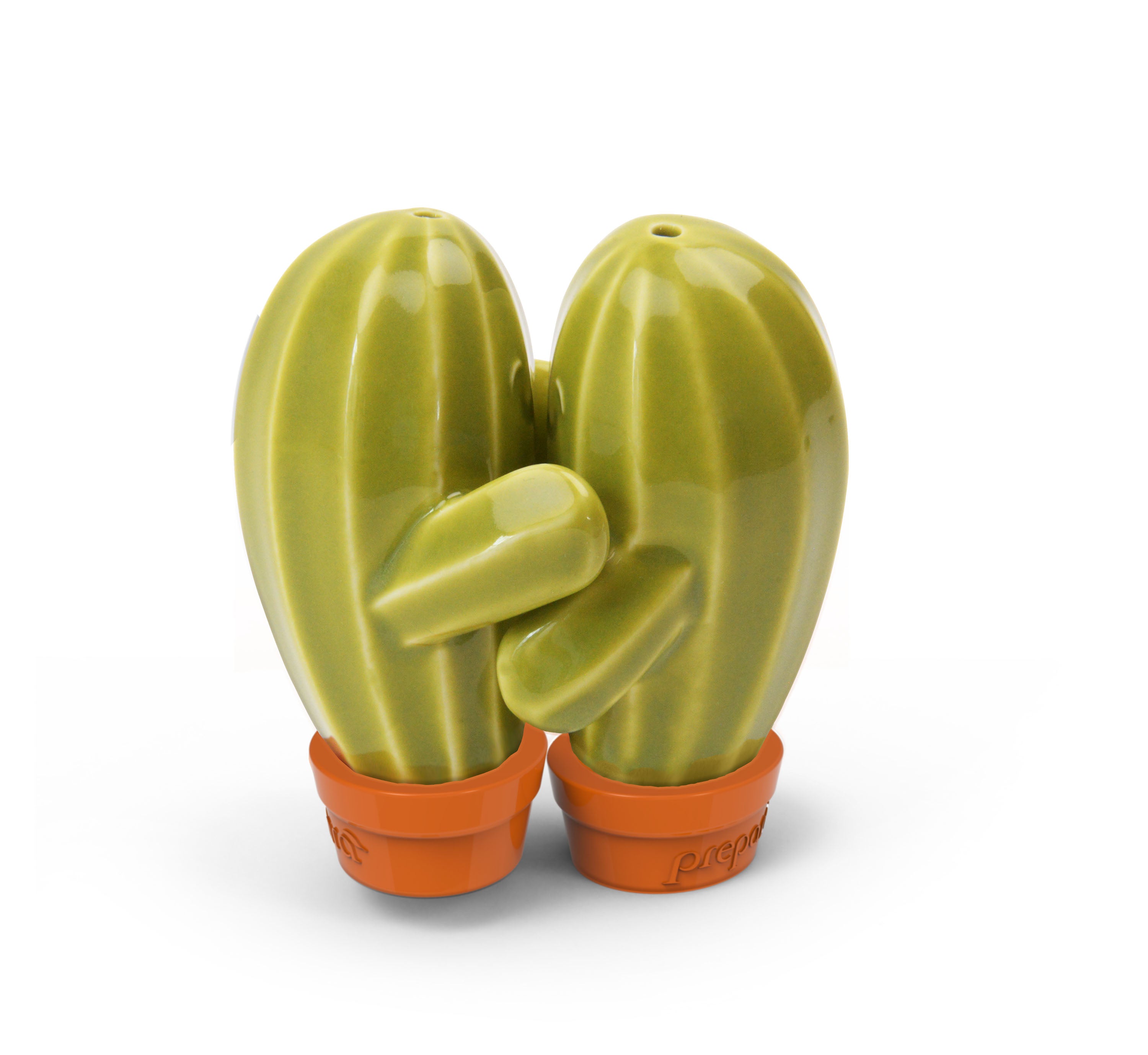 Hugging Cactus Shakers