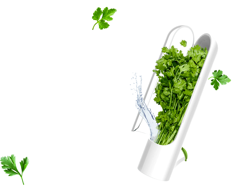 kepp-herbs-fresh